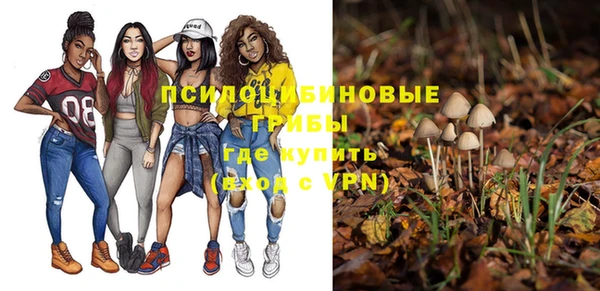 соль ск Белоозёрский