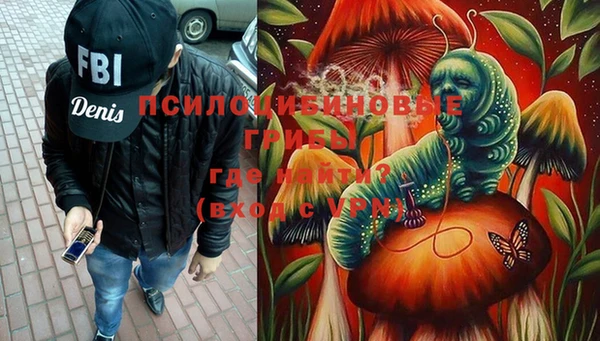 прущий лед Белокуриха