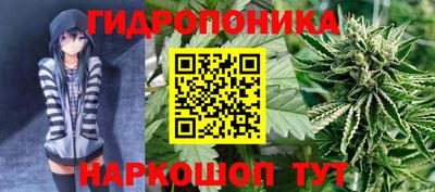 крисы Балаково