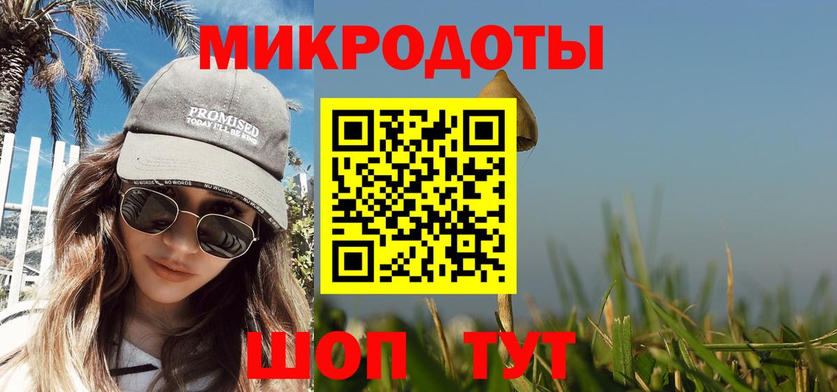 Галлюциногенные грибы Psilocybe  Вход с VPN  Благодарный 